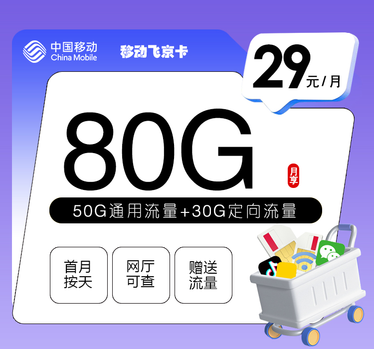移动飞京卡【29元80G】